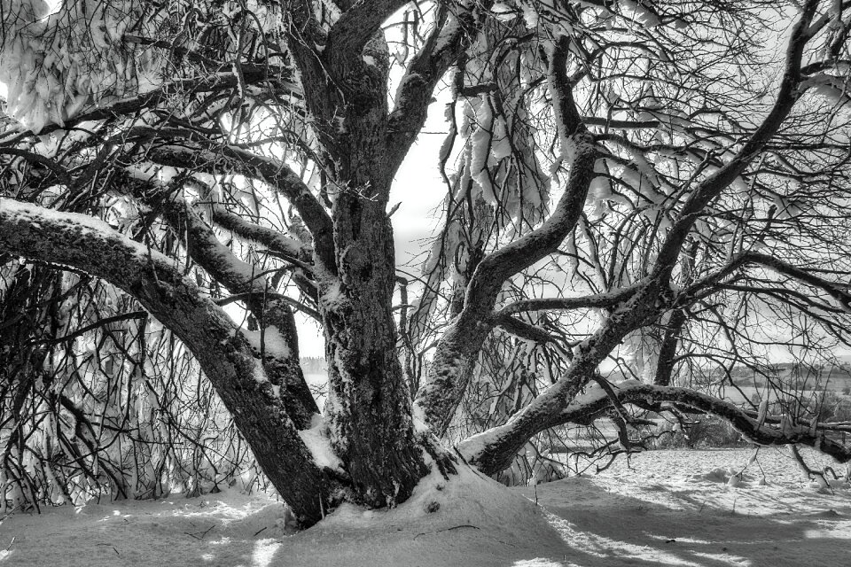 Wintry hochrhoen wasserkuppe