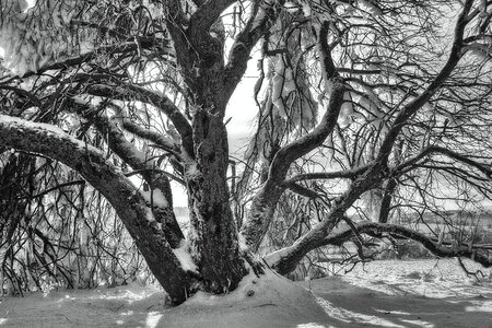 Wintry hochrhoen wasserkuppe