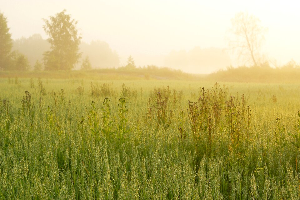 Bright nature outdoors