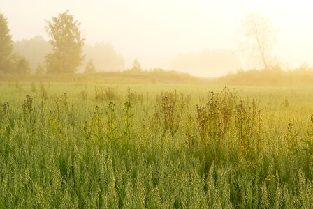 Bright nature outdoors