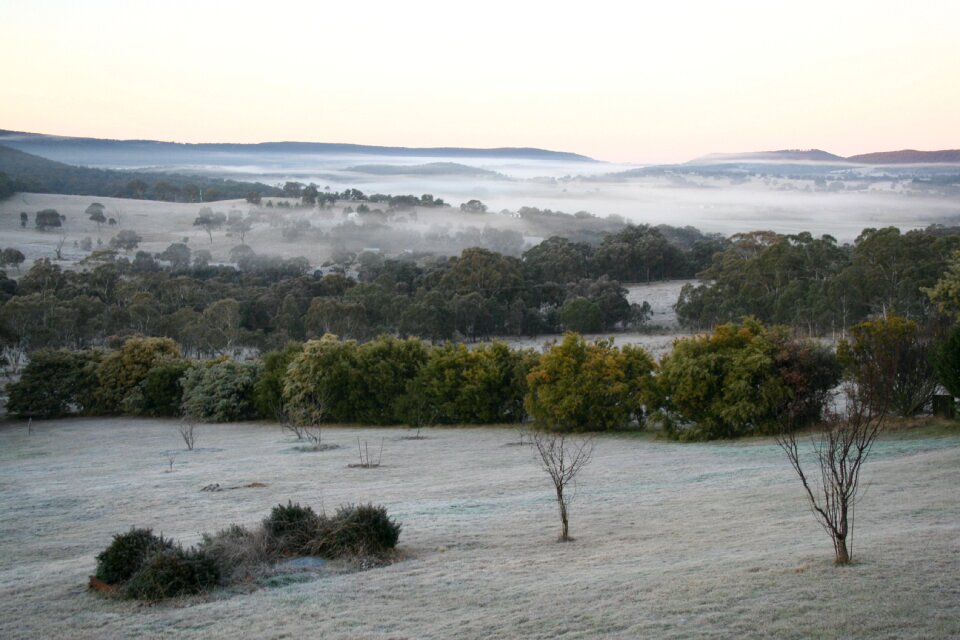 Mist agriculture country
