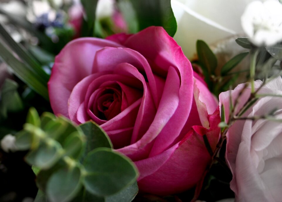 Blossom bloom bouquet of flowers