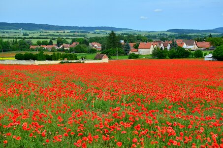 Village landscape red