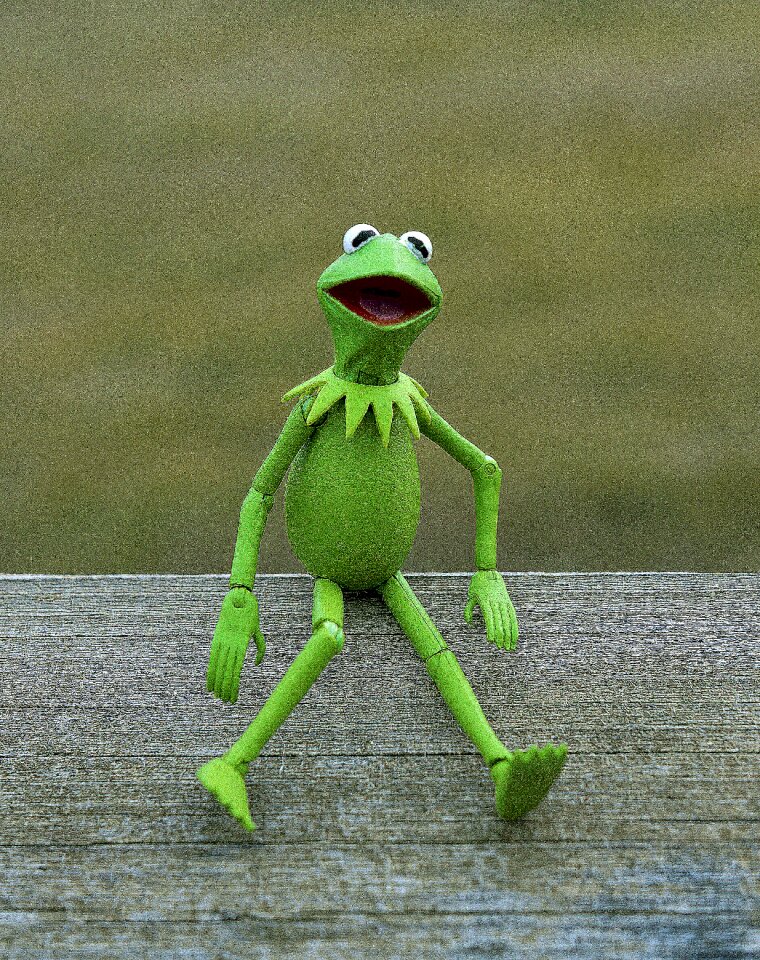 Green amphibian toy
