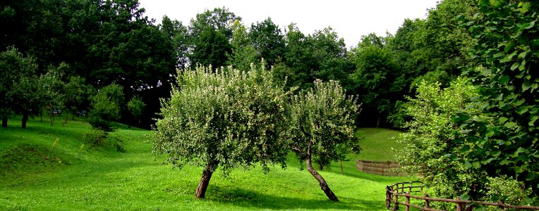 Landscape nature poland