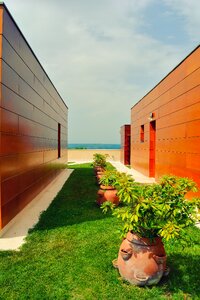 Architecture wood bronze