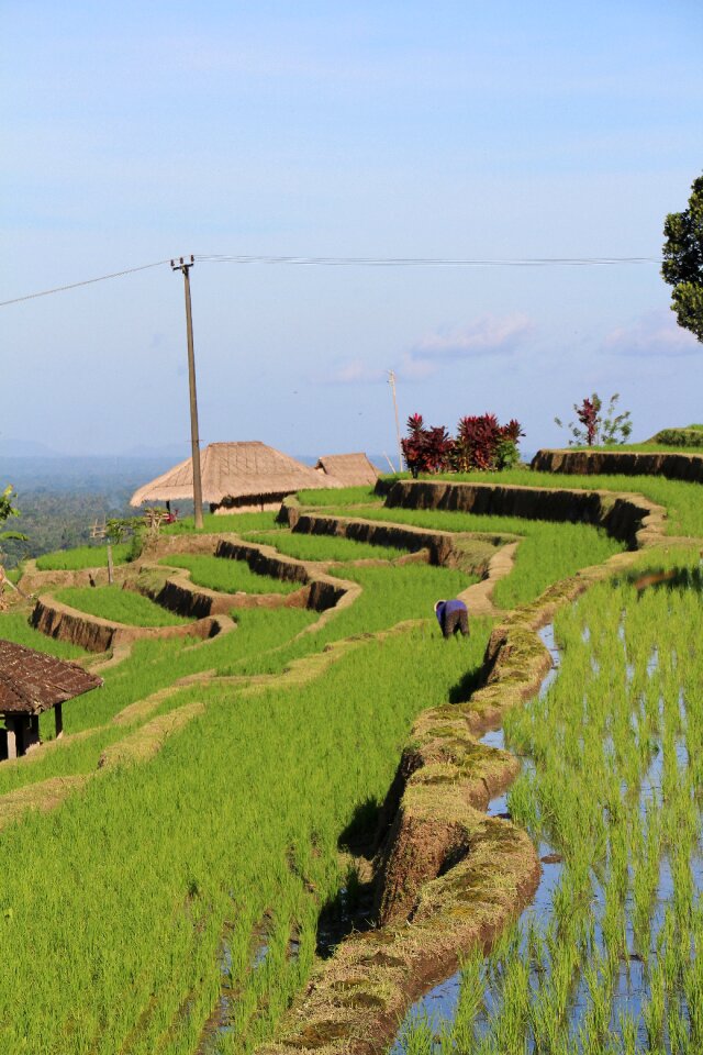 Unesco world heritage indonesia holiday