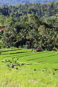 Unesco world heritage indonesia holiday photo