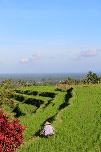 Unesco world heritage indonesia holiday photo