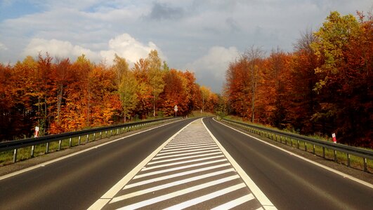 Olkusz autumn landscape nature