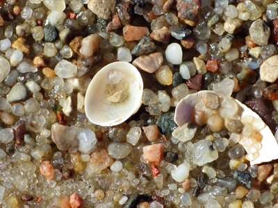 Poland pebbles nature photo