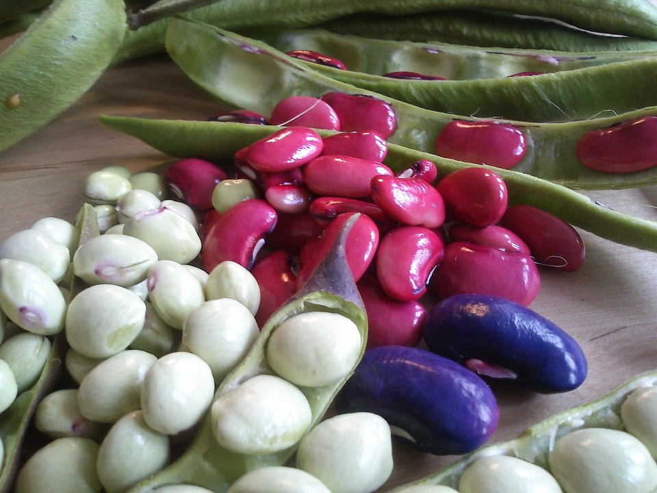 Vegetables vegetable food