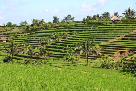 Unesco world heritage indonesia holiday