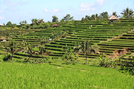 Unesco world heritage indonesia holiday photo