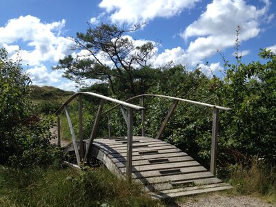 Swedish small brook
