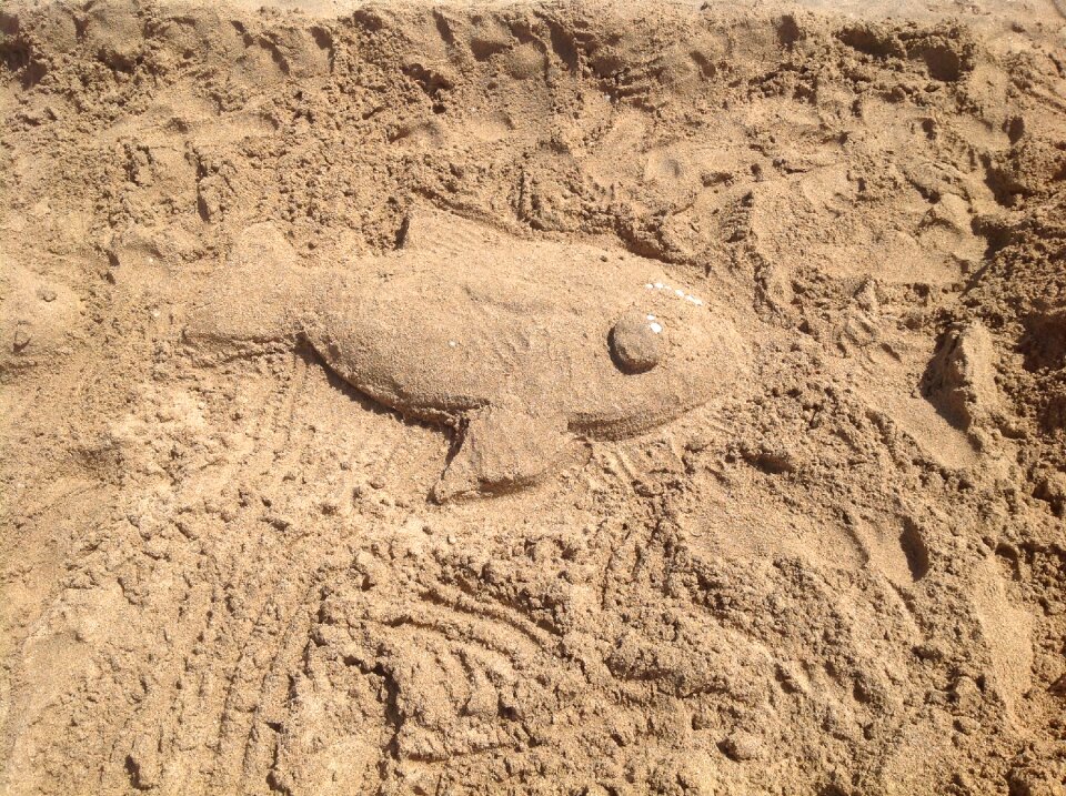 Figure shape beach
