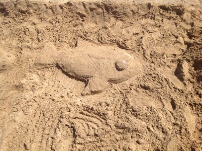 Figure shape beach