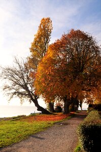 Autumn water bank photo