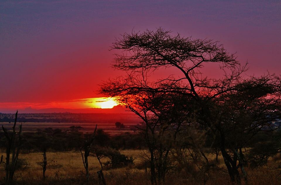 Africa landscape scenery