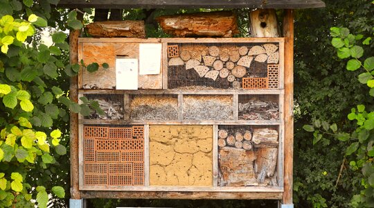 Insect hotel biodiversity insect photo