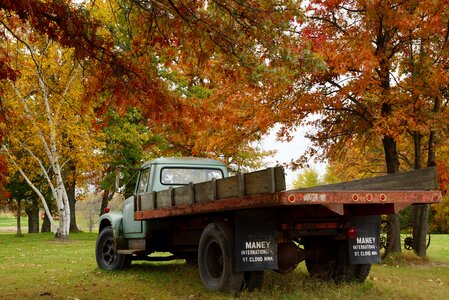 Orange october november