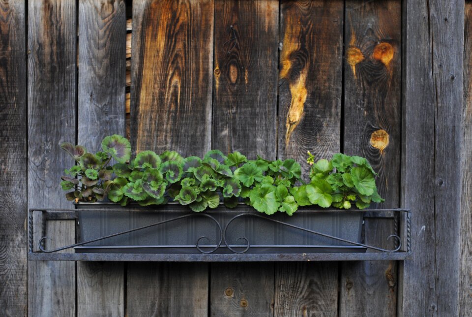 Flower box wooden gray box