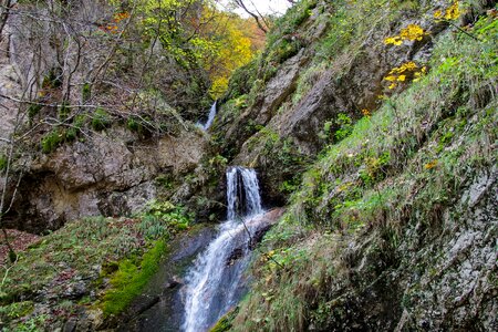 Source moss the abruzzo national park