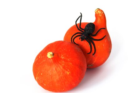 Orange creepy happy halloween