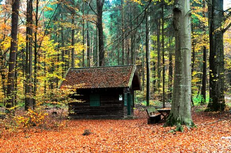 Nature colorful mood photo