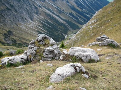 Foghorn stones overgrown
