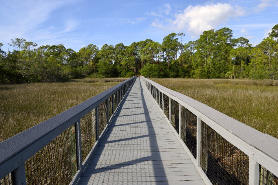 Walkway crossing wetland