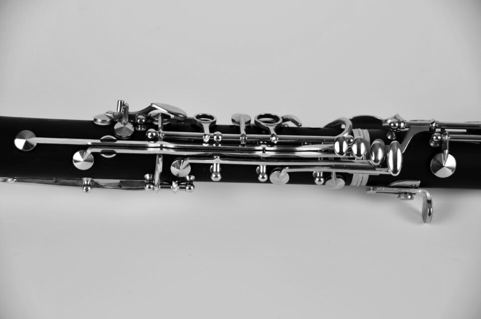 Jazz musical instrument black and white
