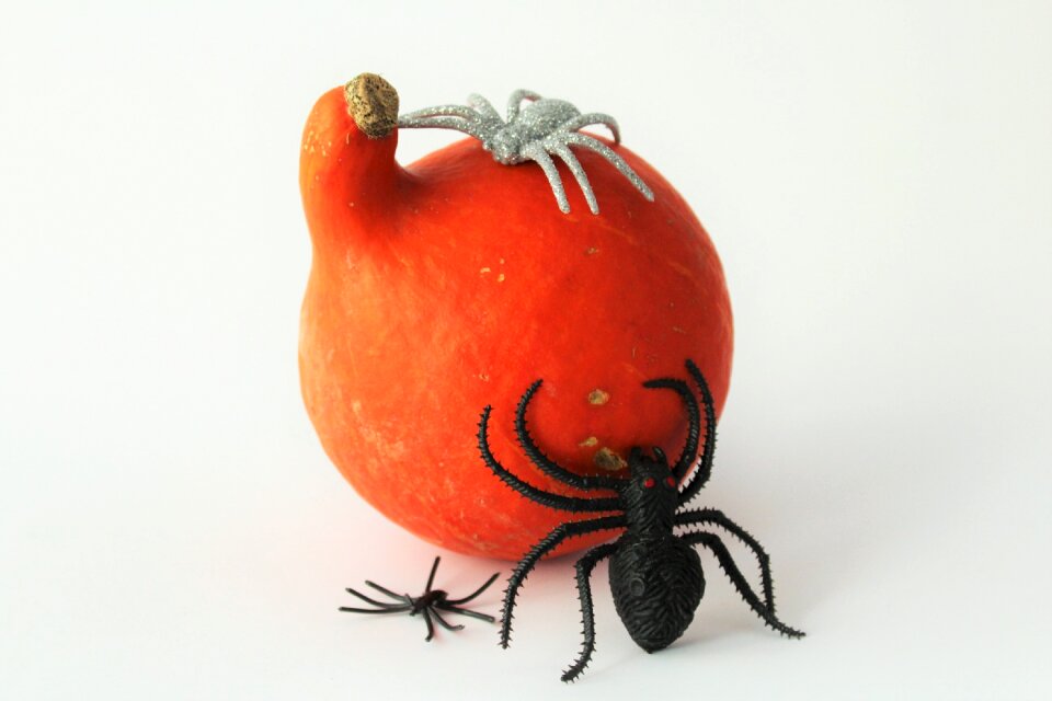Black silver happy halloween