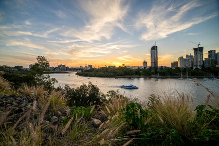 Brisbane ferry sunset