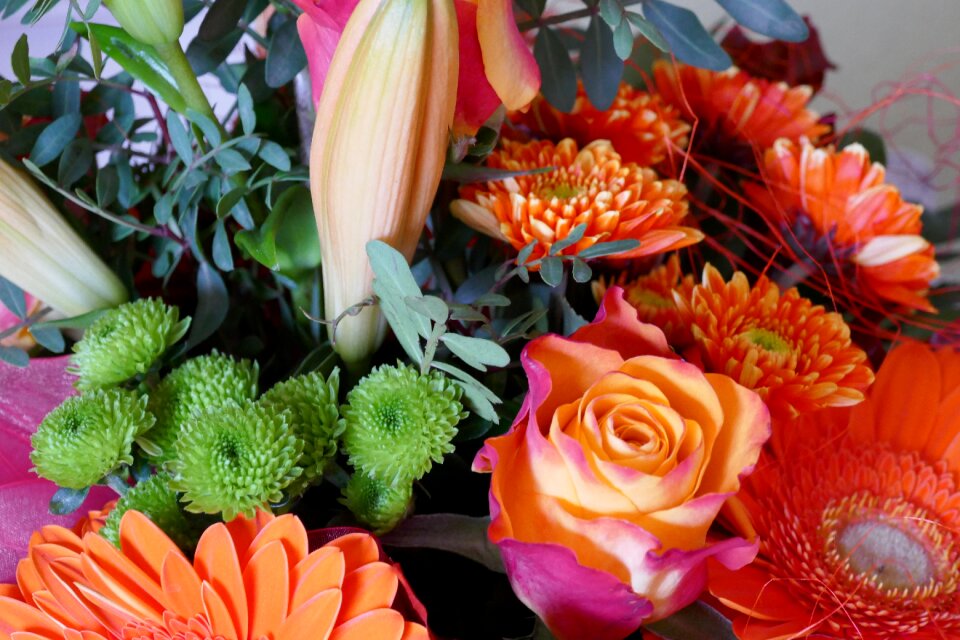 Bloom bouquet birthday