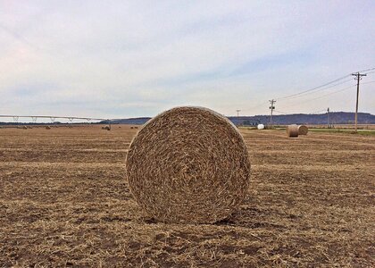 Agriculture field harvest