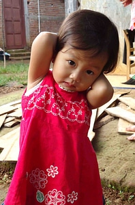 Girl the little girl kids