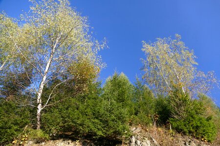 Sky blue romance