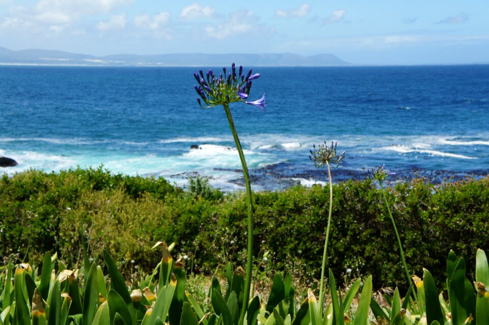 Nature coast water