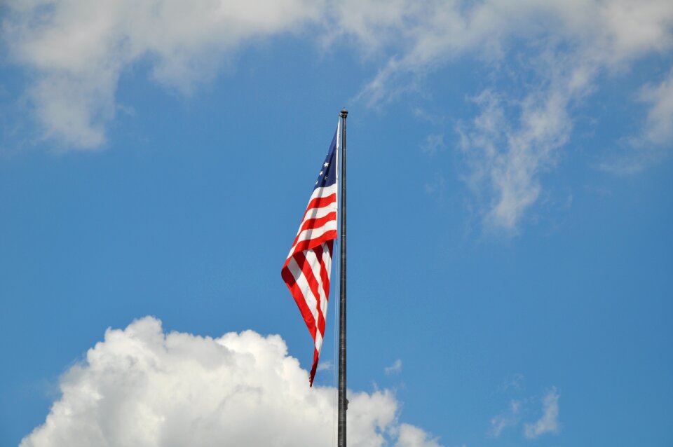 Flag usa america