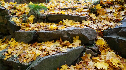 Climb up out natural steps