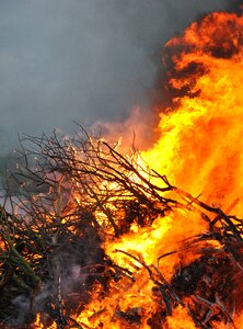 Wood burning flammable photo