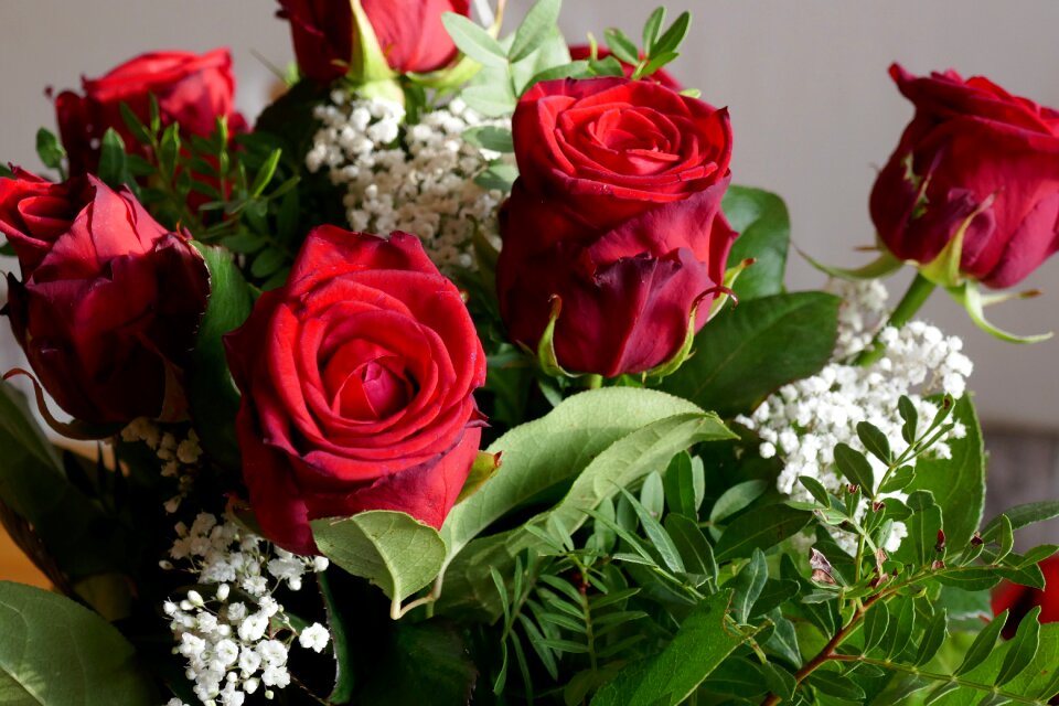 Strauss love romantic