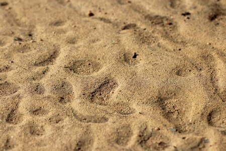 Beach soil texture