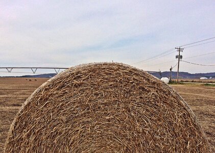 Agriculture field harvest