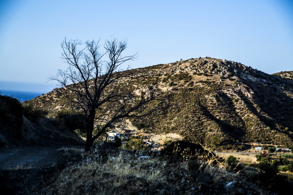 Landscape turkey natural turkey