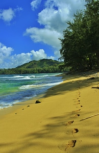Sand footprints hanalei photo