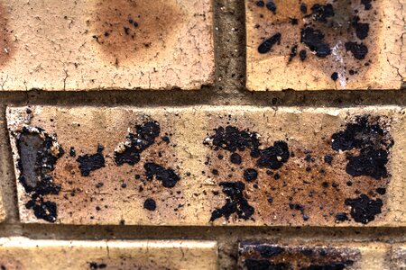 Wall pattern
