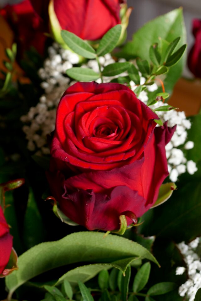 Strauss love romantic