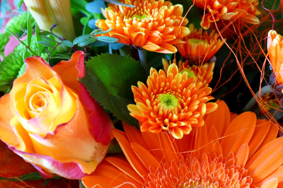 Bloom bouquet birthday
